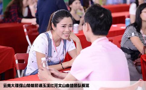 云南大理保山楚雄昭通玉溪紅河文山曲靖團(tuán)隊(duì)概覽