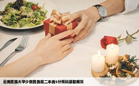 云南民族大學少數(shù)民族超二本線5分預(yù)科錄取概況