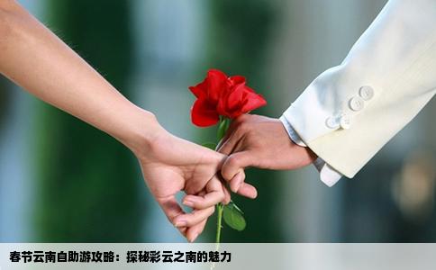 春節(jié)云南自助游攻略：探秘彩云之南的魅力