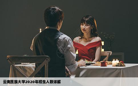 云南民族大學(xué)2020年招生人數(shù)詳解