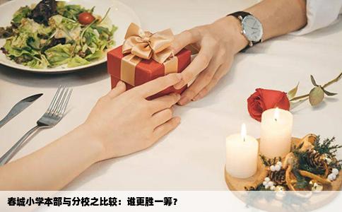 春城小學(xué)本部與分校之比較：誰更勝一籌？