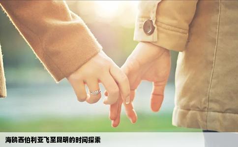 海鷗西伯利亞飛至昆明的時間探索