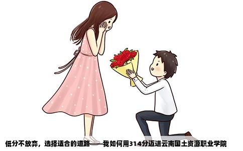 低分不放棄，選擇適合的道路——我如何用314分邁進(jìn)云南國(guó)土資源職業(yè)學(xué)院
