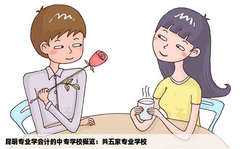 昆明專業(yè)學會計的中專學校概覽：共五家專業(yè)學校