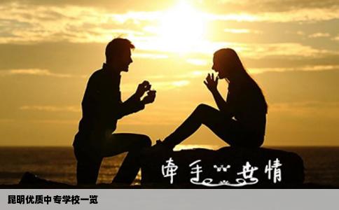 昆明優(yōu)質(zhì)中專學校一覽