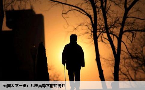 云南大學(xué)一覽：幾所高等學(xué)府的簡(jiǎn)介